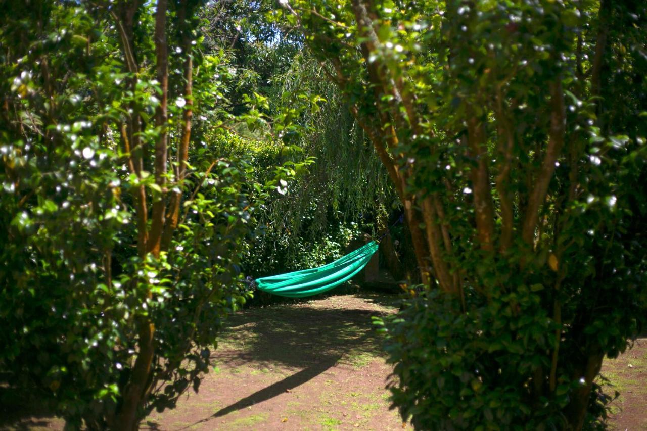 Villa Varzea - Garden Suite Eksteriør bilde